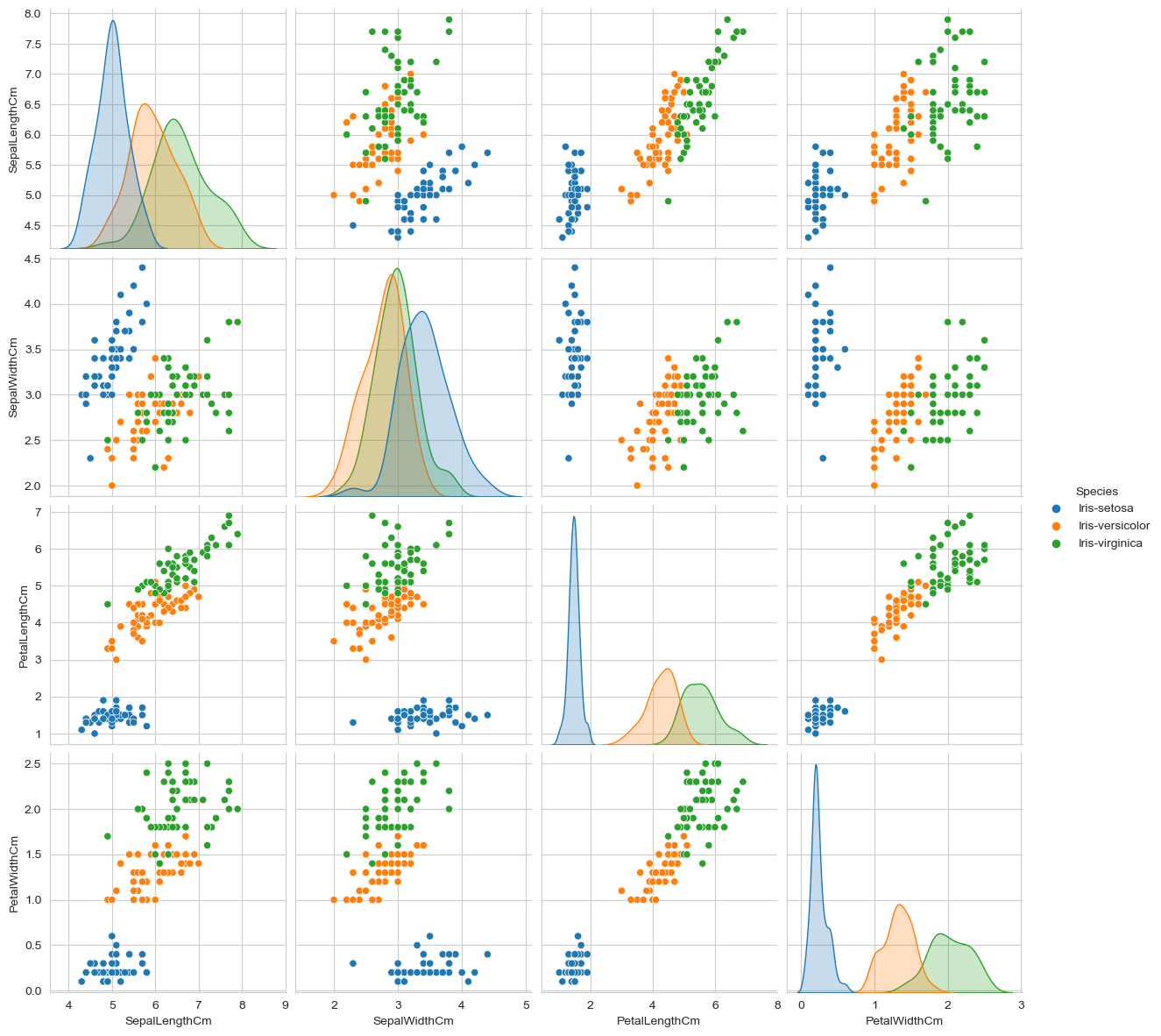 iris data visualization